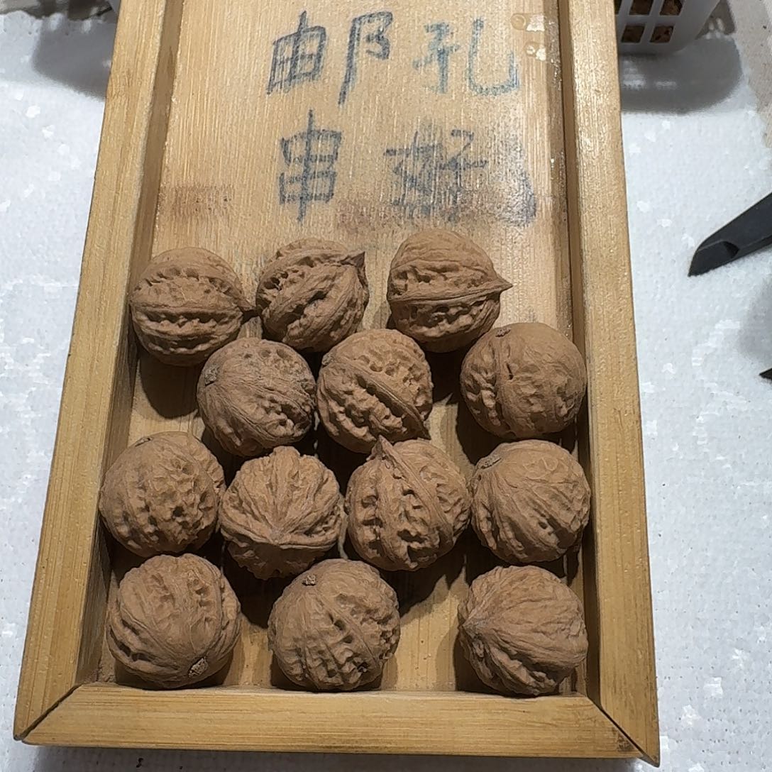 核桃手串/手链24号边23肚25高23