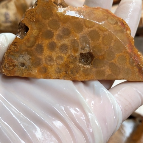 【闪购商品】硅化玉吊坠(不含链)未镶嵌