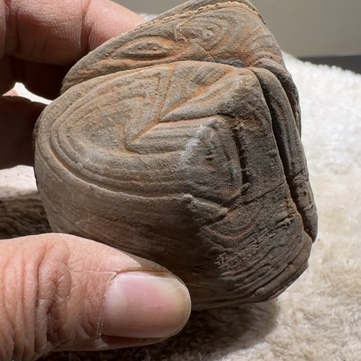 小****香榧木石头啊啊啊啊啊