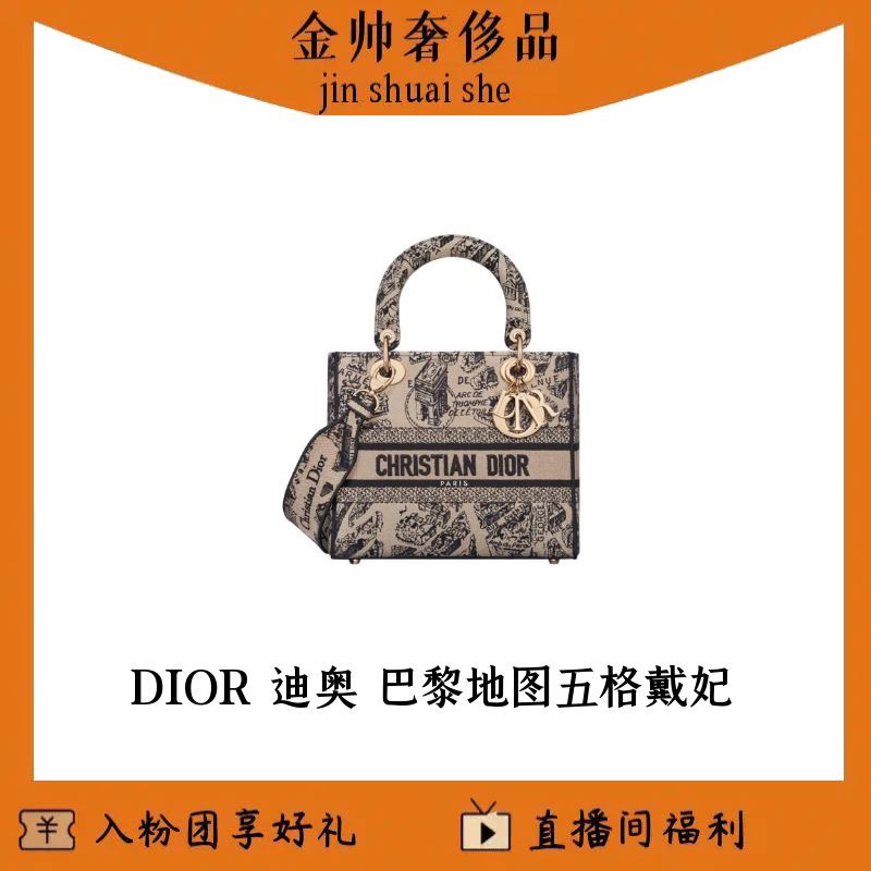 99新 DIOR/迪奥 新款/巴黎地图刺绣/五格戴妃/单肩包/B6356