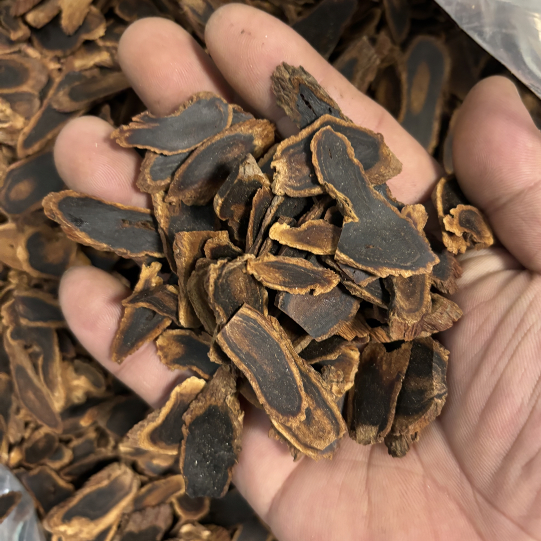 长白山高级黑参大残片