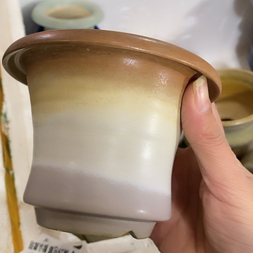 【闪购商品】红陶口9.5