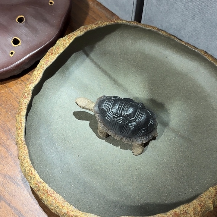 紫砂茶宠✨****哈哈哈哈哈哈哈哈哈哈