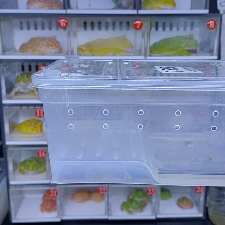 特价促销价格为什么