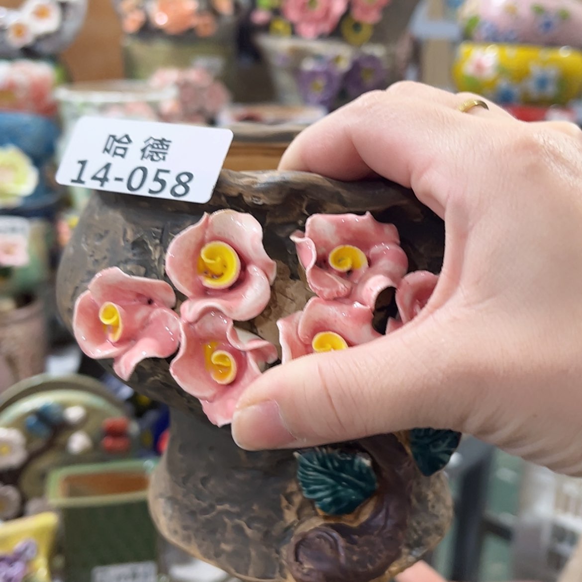 【闪购商品】红陶1458