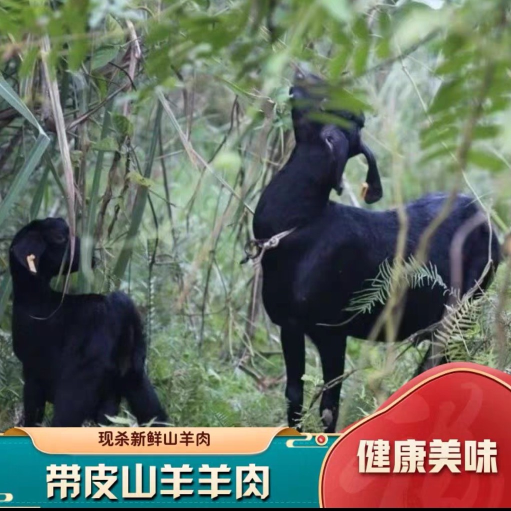 散养黑山羊带皮羊肉新鲜羊肉顺丰快递跑山羊带皮黑山羊肉现称现发