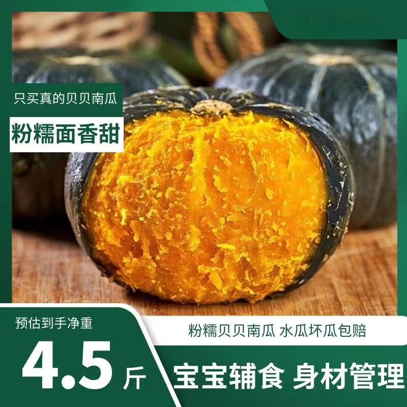 新鲜采摘沙地贝贝南瓜粉糯香甜板栗味宝宝辅食粗粮