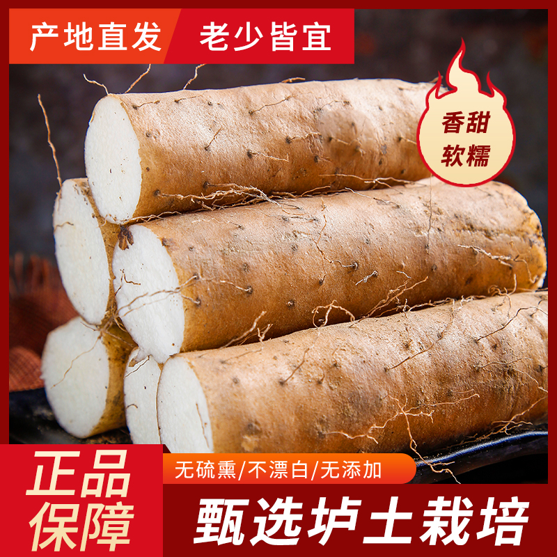 【峰言专属】河南温县垆土铁棍山药 新鲜现挖 57cm左右