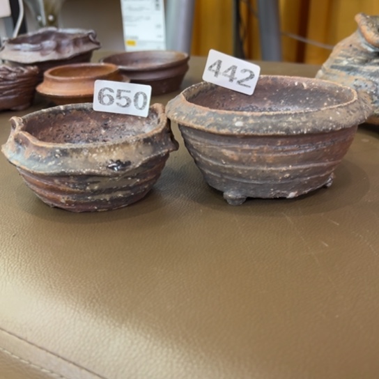 红陶桐**忆650/////////