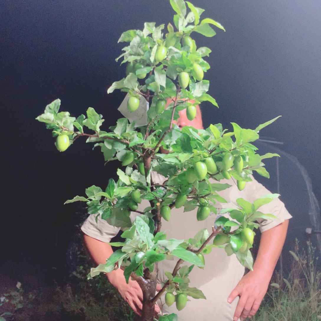 无花朵用****5吞吞吐吐吞吞吐吐吞吞吐吐一样