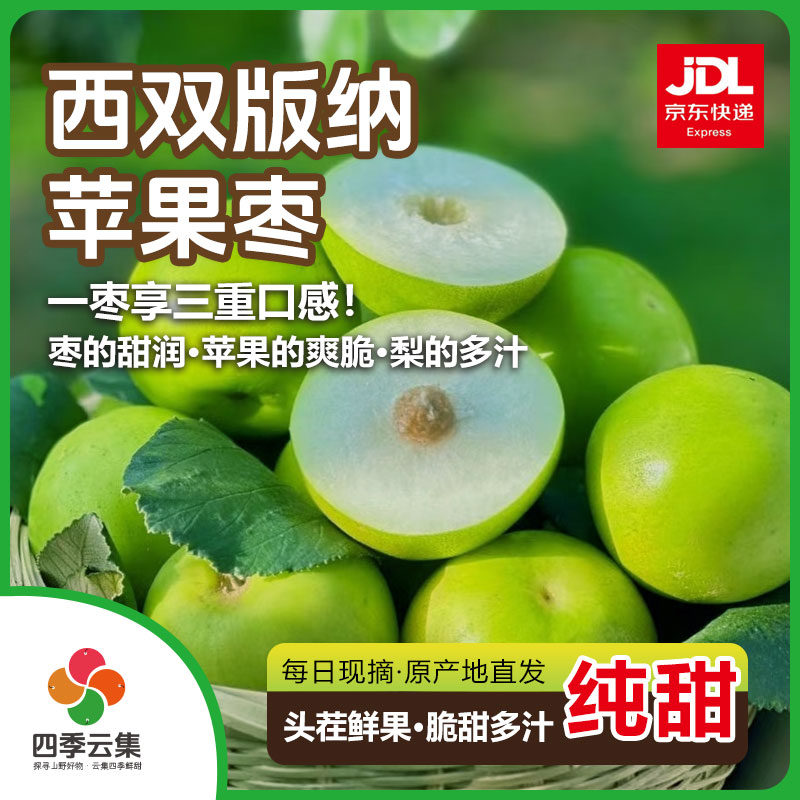 云南西双版纳应季水果【苹果枣】新鲜脆甜多汁产地直发京东包邮到家