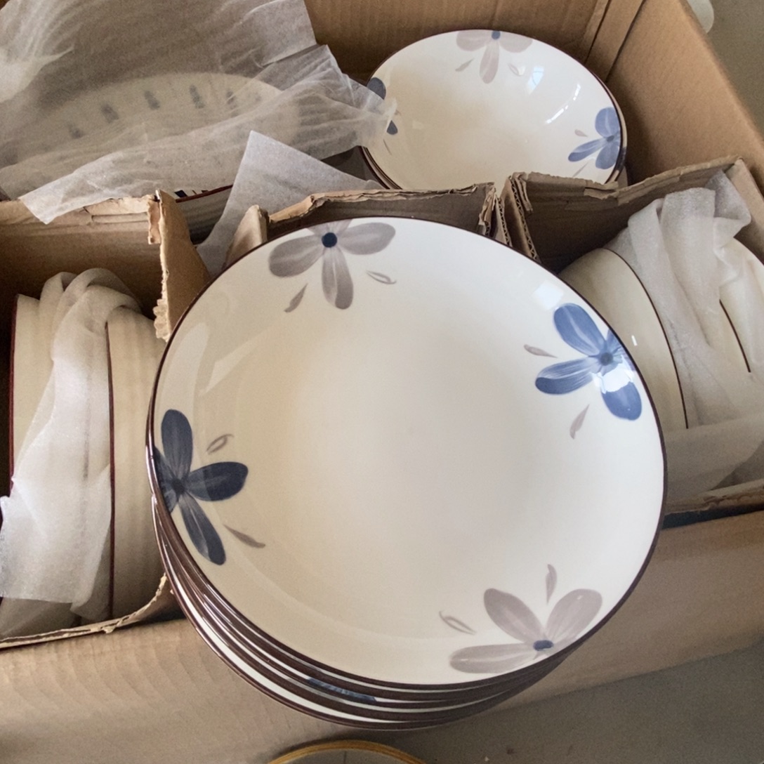 陶5个8英寸盘子 福利活动不退不换