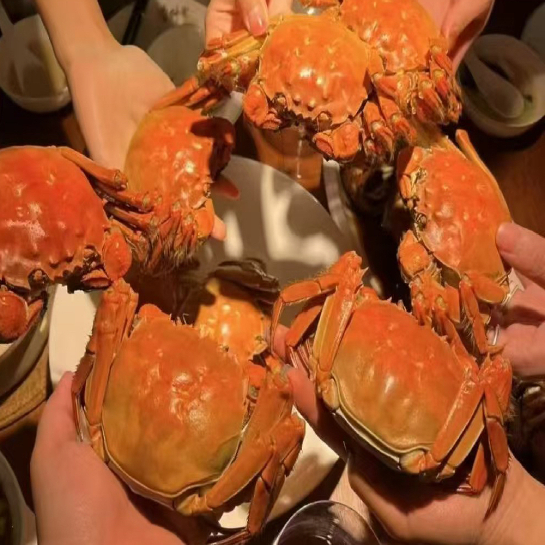 【活蟹】盘锦河蟹 母蟹（1.4-1.7两） 6只 公蟹（1.7-2两）6只  