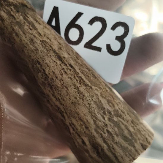 闲***事鹿角鹿角鹿角鹿角鹿