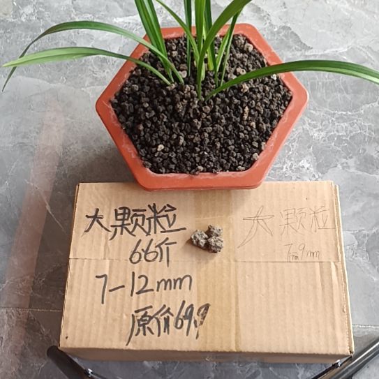 清***月兰菌黑山土大颗粒6.6斤