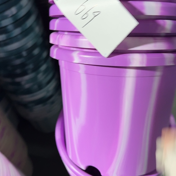 编号669串色10个无托口径29