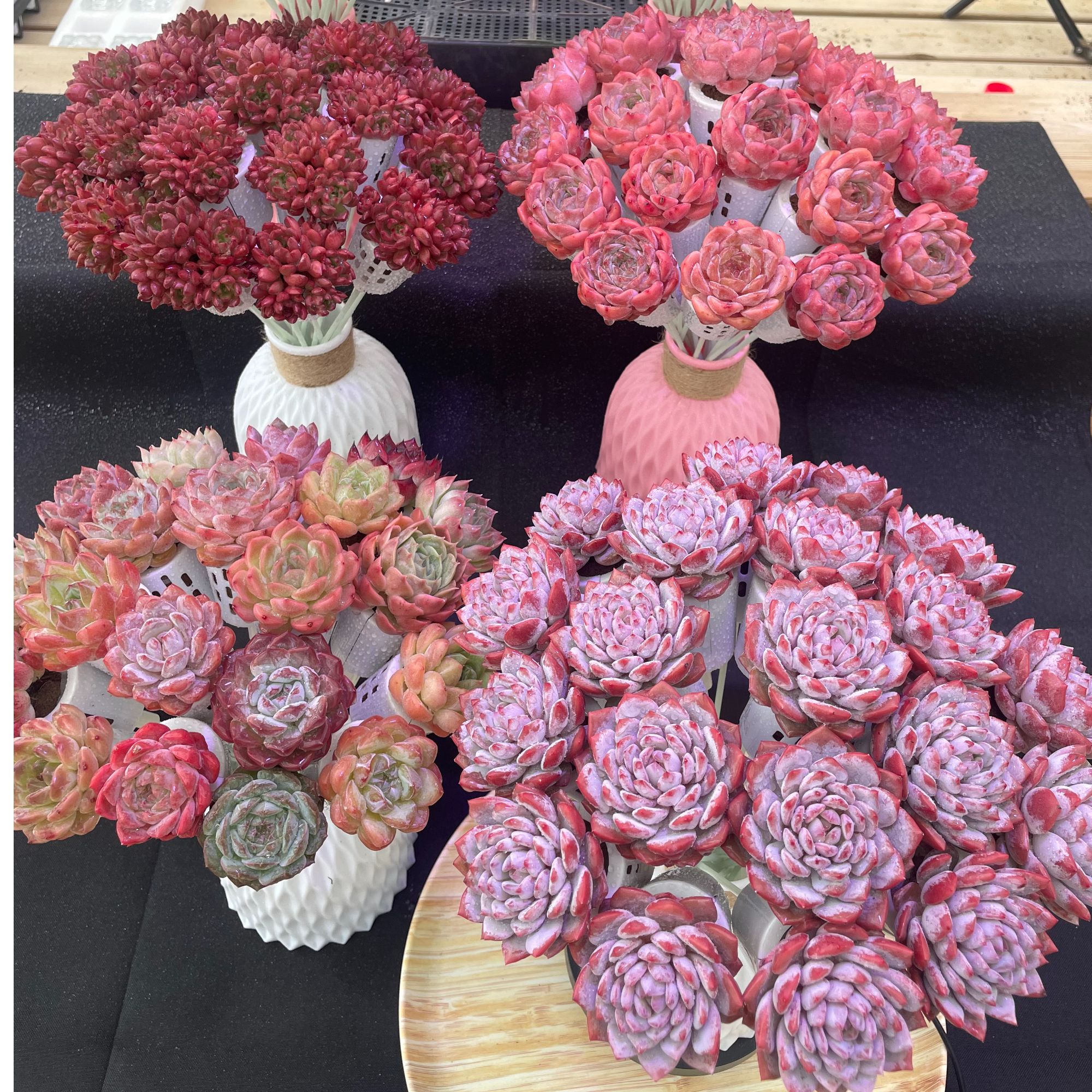 精品无土多肉花束 花卉盆栽