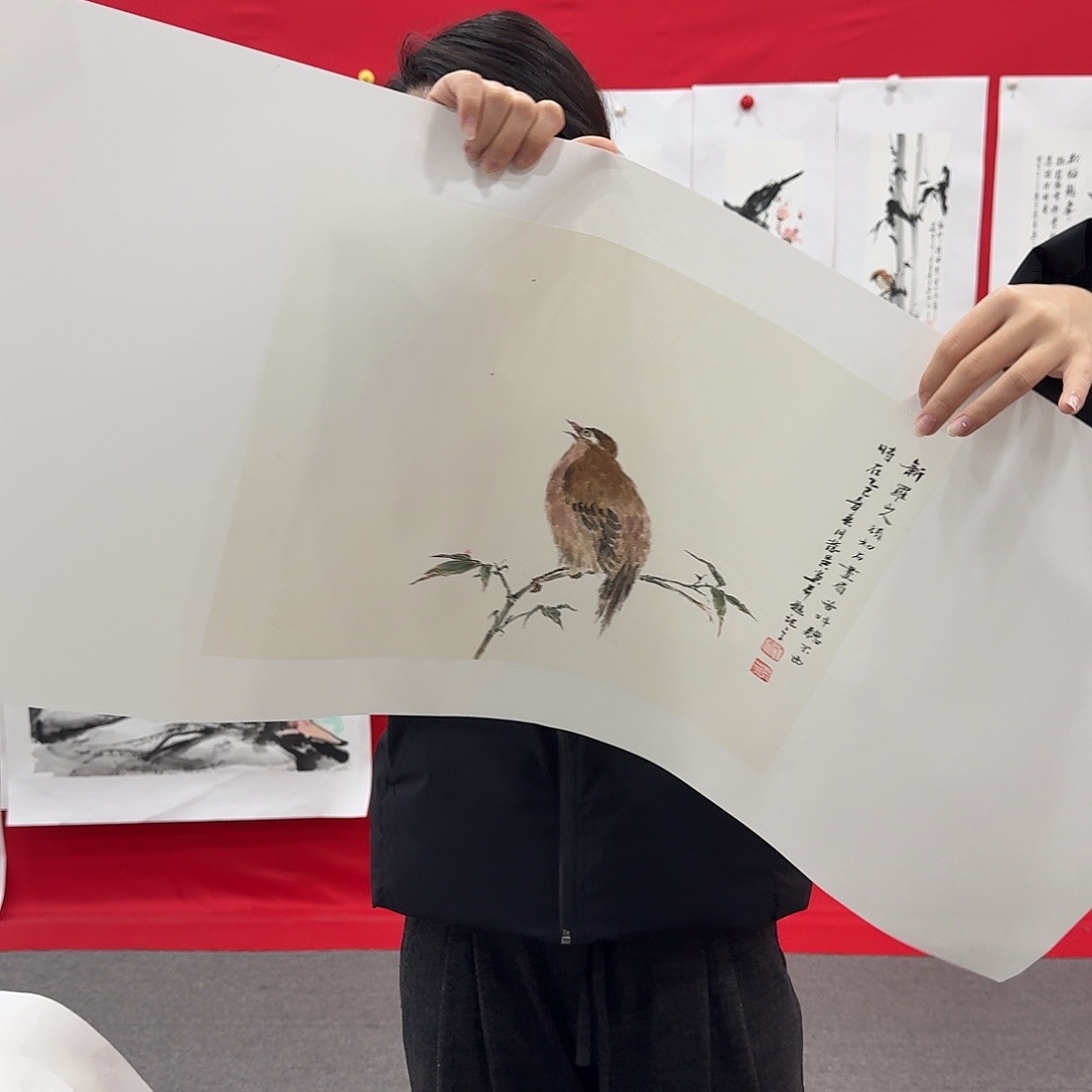 国画新号开播福利多多