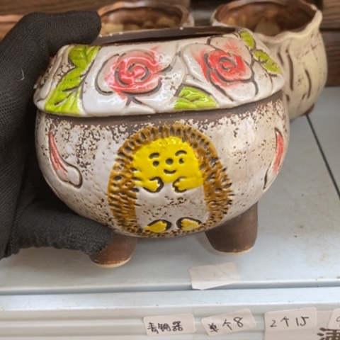 【闪购商品】红陶1