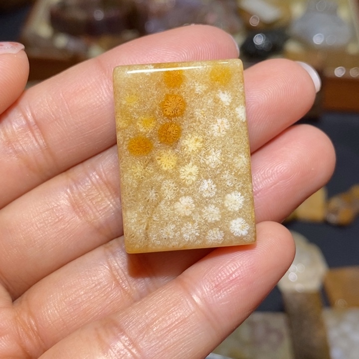 【闪购商品】未镶嵌珊瑚玉硅化玉