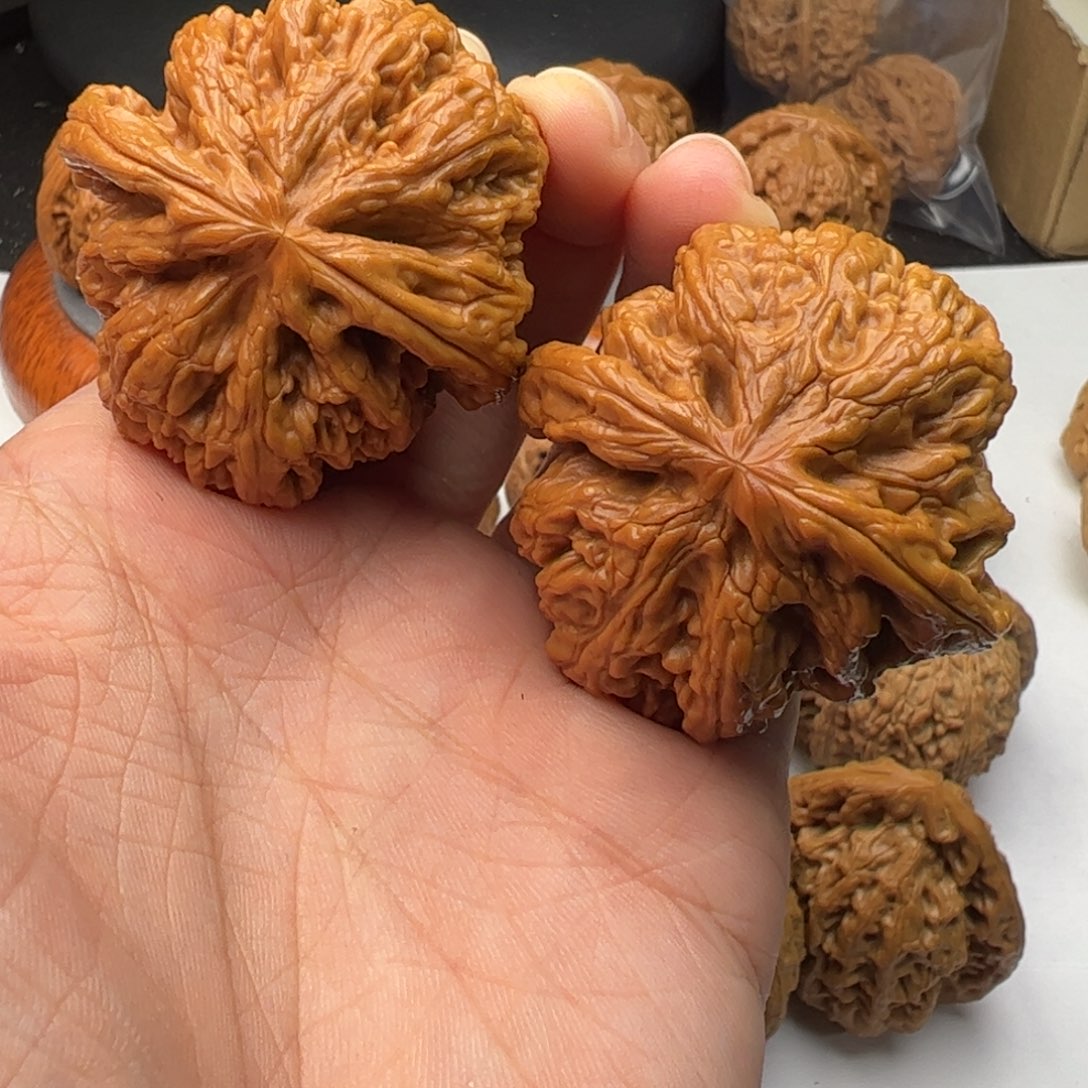 文玩核桃吊坠43粗筋