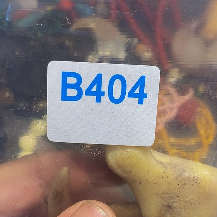 香榧木纳**蟾黑檀木、404