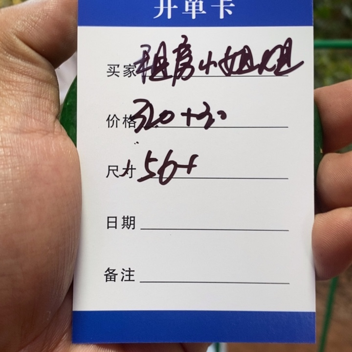 租***姐非金属所见皆所得