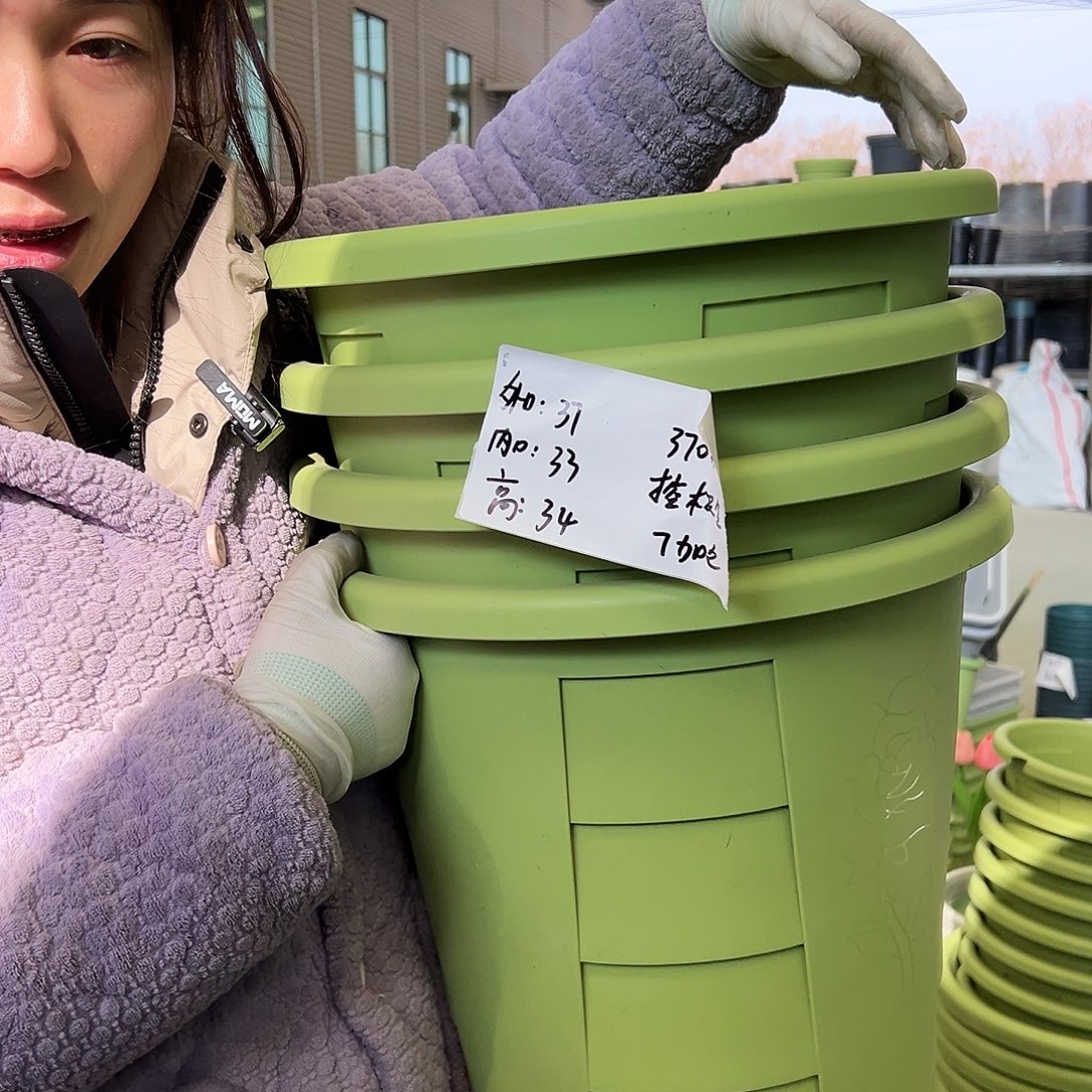 玫瑰盆370#果绿4个无托