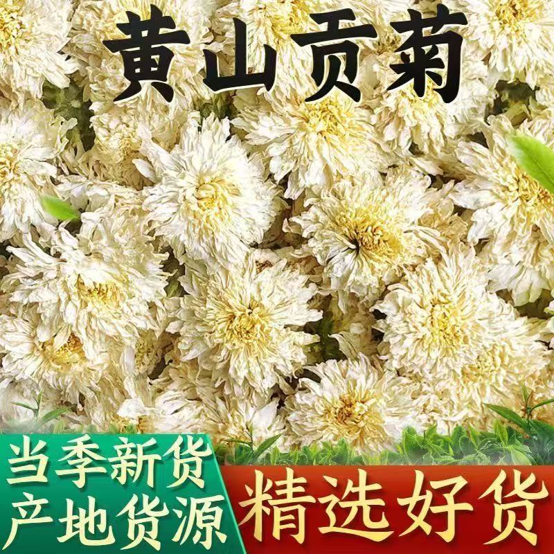 正宗贡菊精选无硫贡菊白菊花泡茶黄山贡菊花茶特级白菊花
