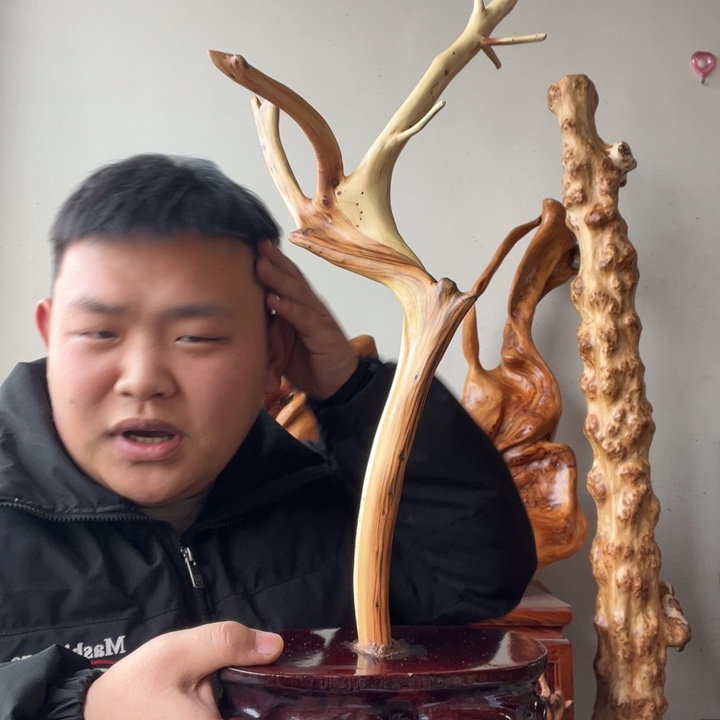 用***8柏木太行崖柏摆件上车