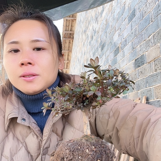 无花朵罐****?你也她吧天天有亿些想说了