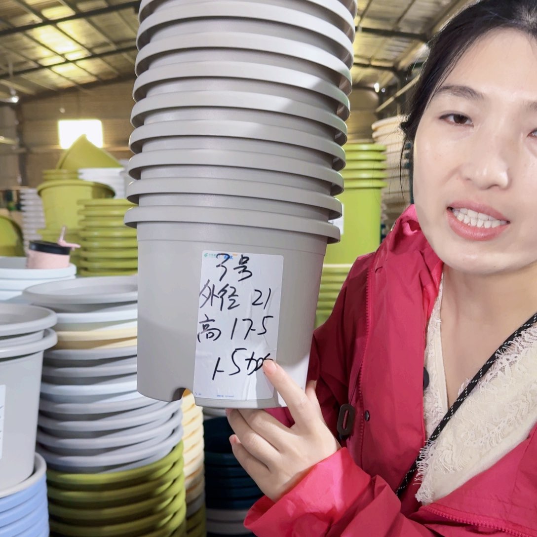 微瑕3#无拖灰白10个