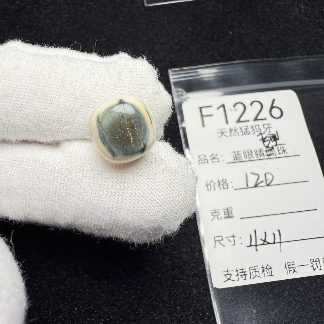F1226天然猛犸象牙蓝皮老型桶珠墩子顶珠配珠配饰11*11mm