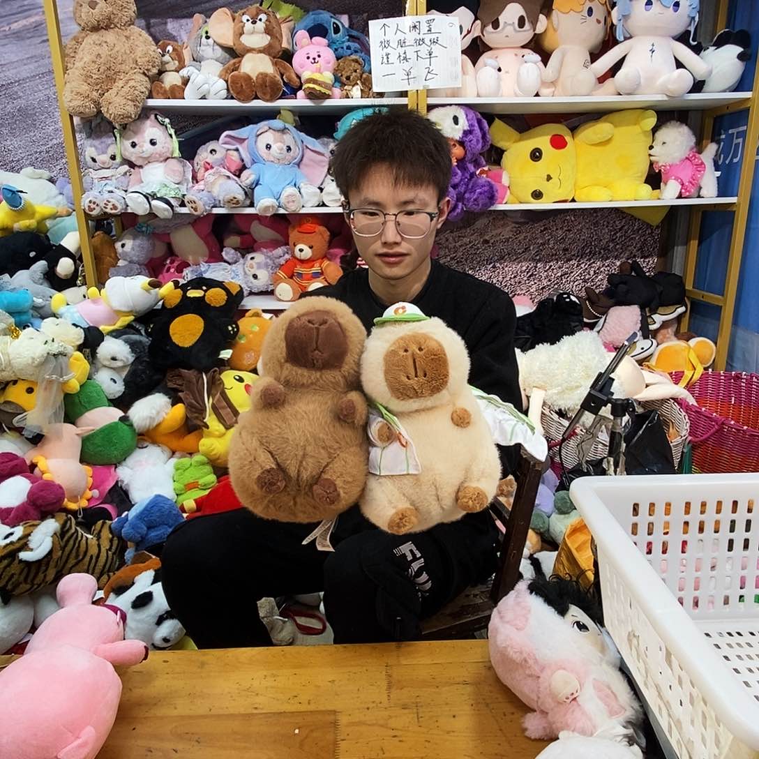 毛绒水**球毛绒玩具238