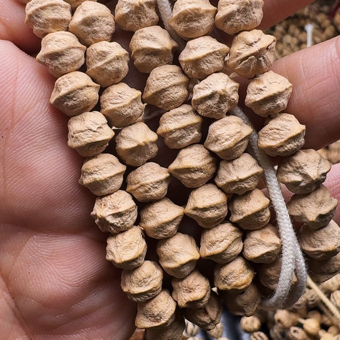 杨***.柏香籽/百香籽吊坠