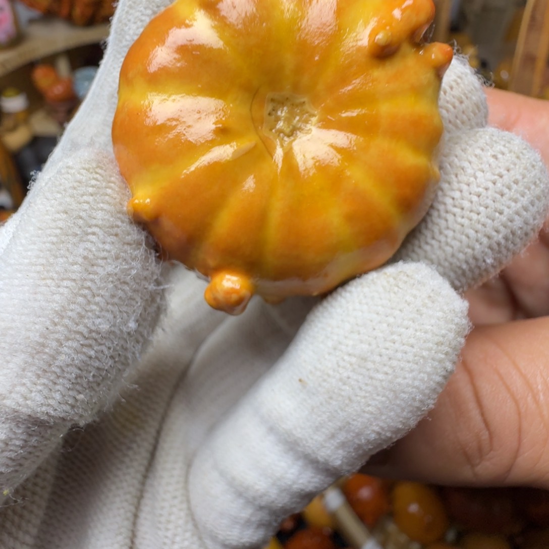 看*特价葫芦不退不换