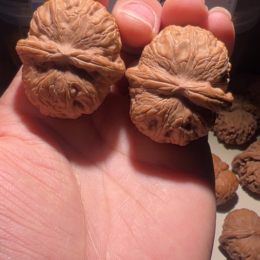 s***.文玩核桃把件40尺全品元宝