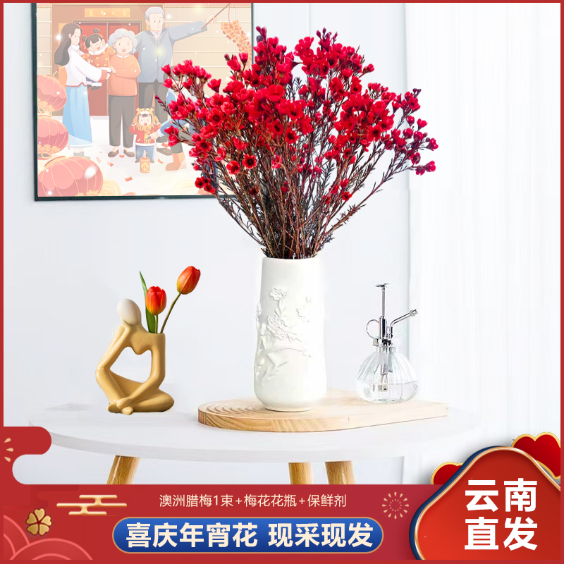 【红色澳洲腊梅花+花瓶】鲜切年宵花澳洲腊梅花卉室内摆放云南直发