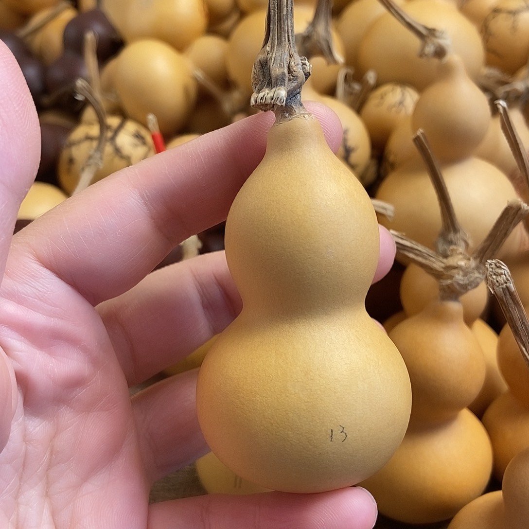 文玩葫芦 完美主义者 慎拍13