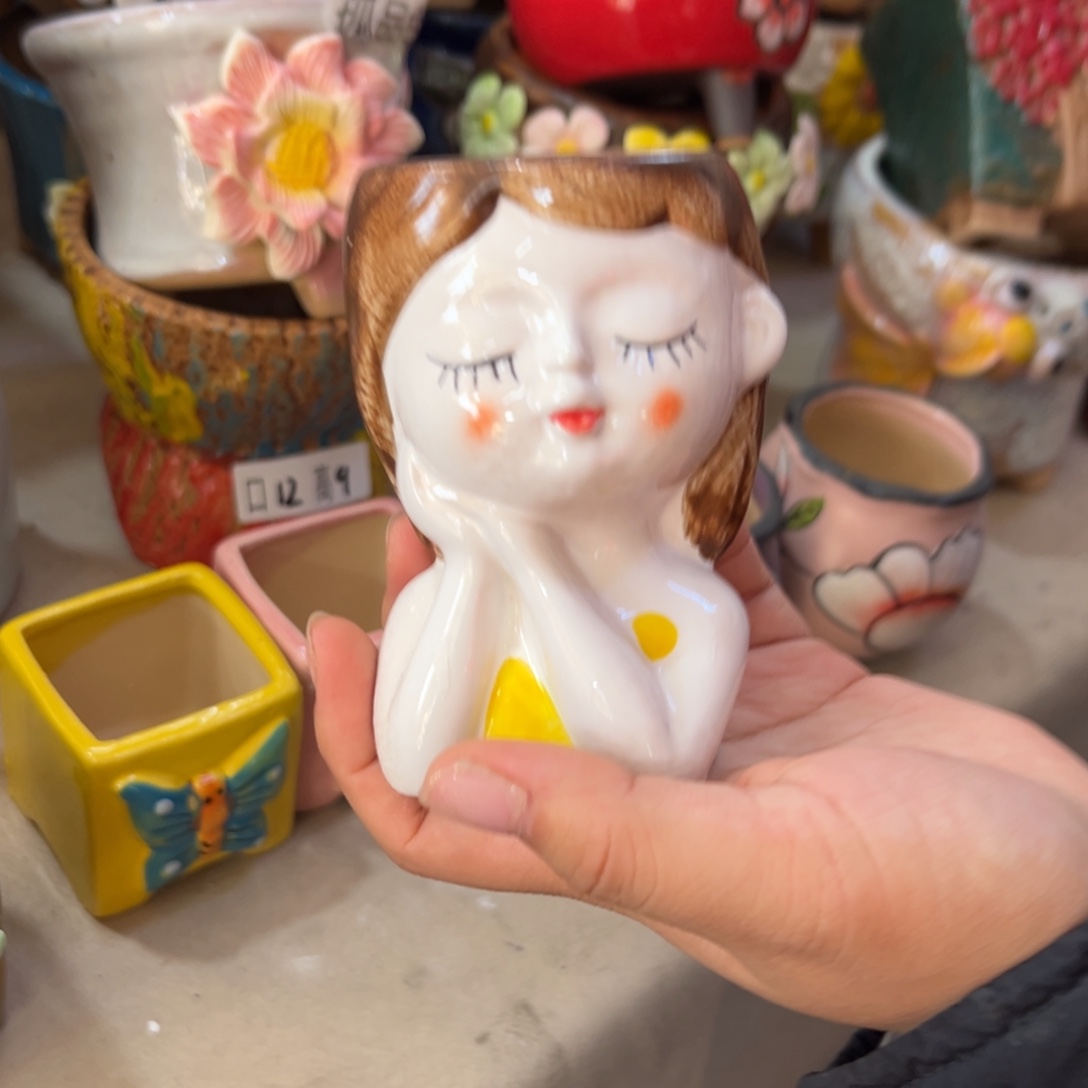 花盆，拍满20发货，退款拉黑