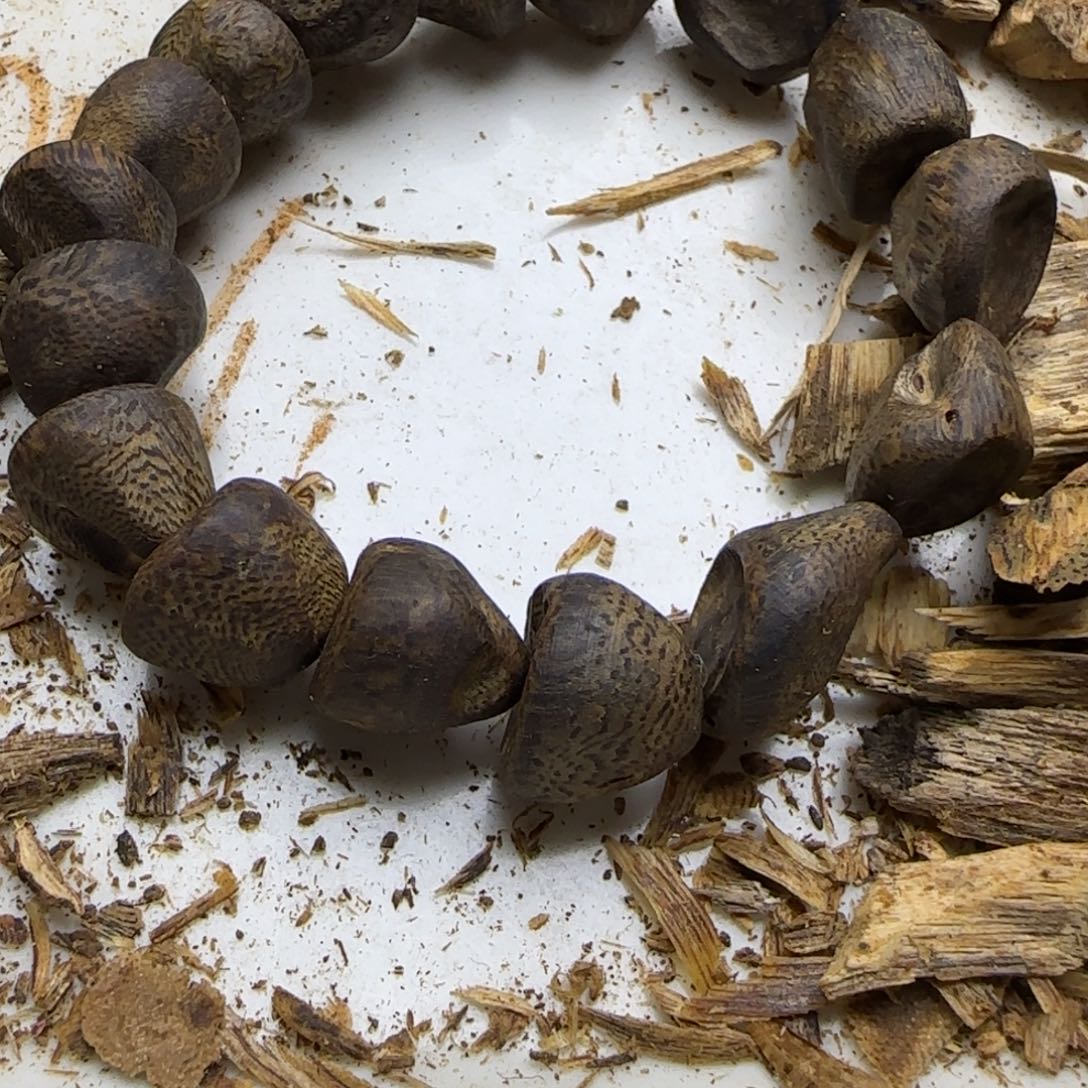 口***o沉香碎屑沉香1.4沉水树丁