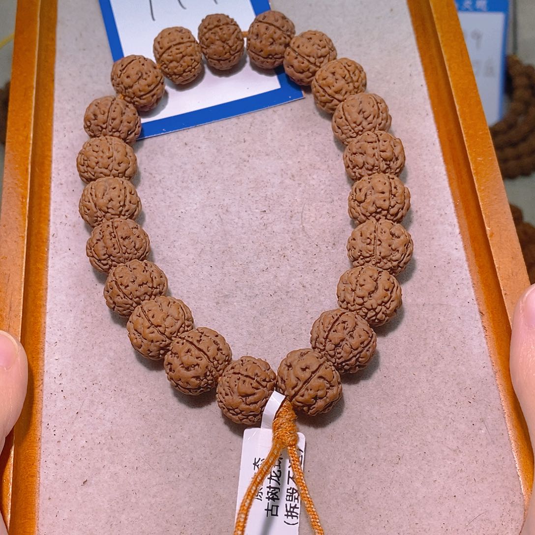 朱***鑫手串金刚菩提111古树龙珠17