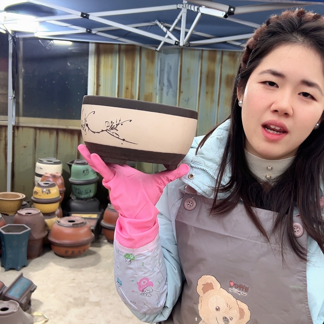 17白色绿萝小号一个花盆花盆