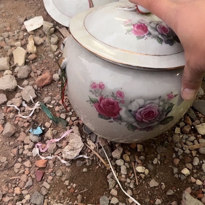 初***@杂色豆（科檀/科特迪瓦檀木）