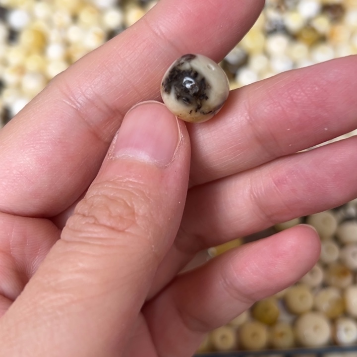 蜜蜡未镶嵌裸石12.1mm有坑