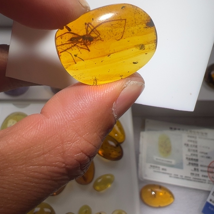 琥珀裸石未镶嵌k****?缅甸天然琥珀虫珀蜘蛛