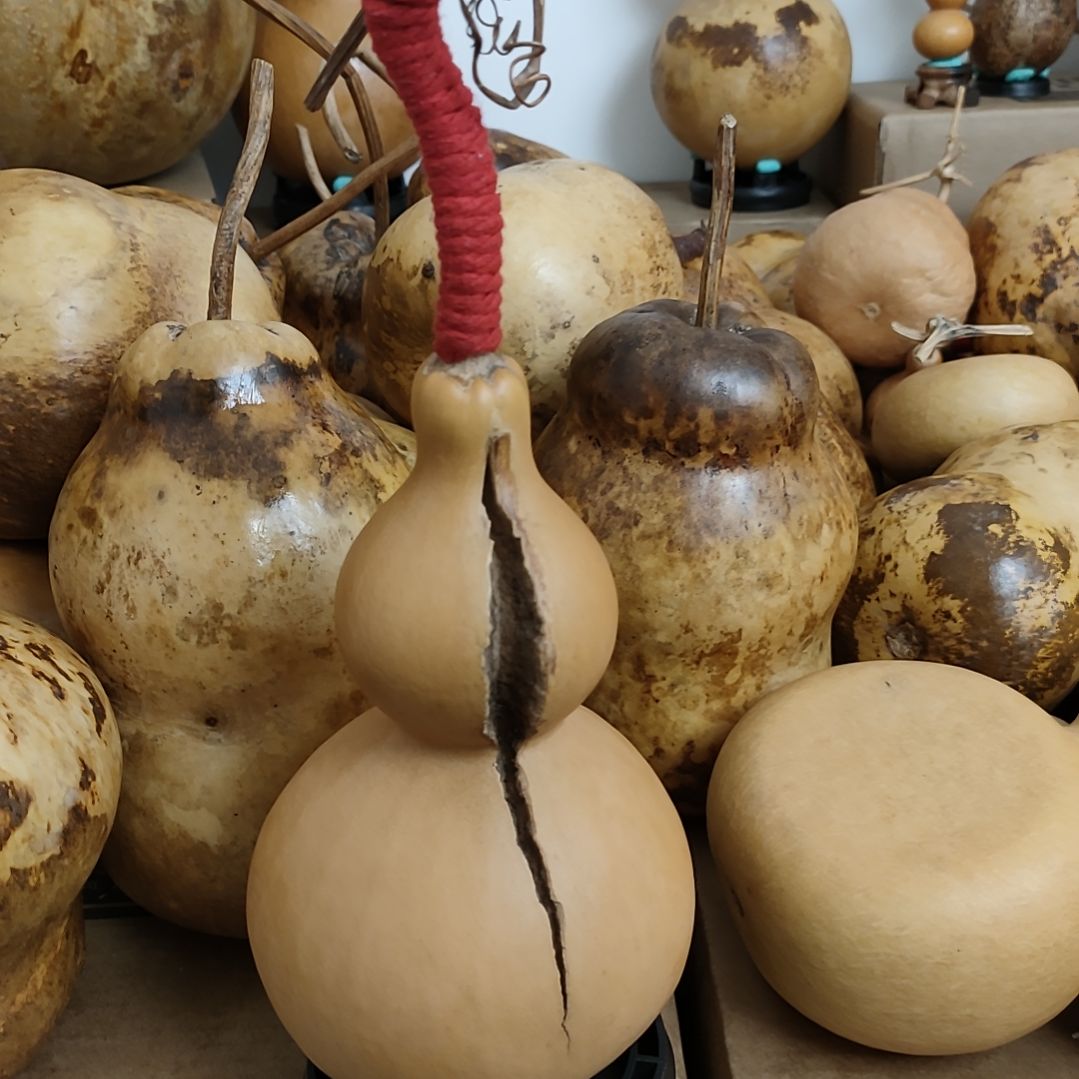 明***老皮八宝天裂喜欢拍