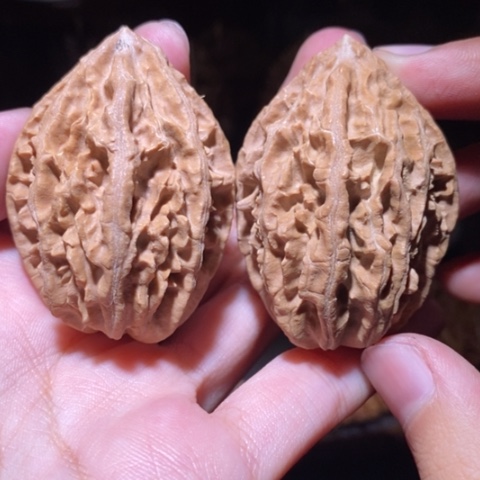 把件文玩核桃东北野生楸子小园 155