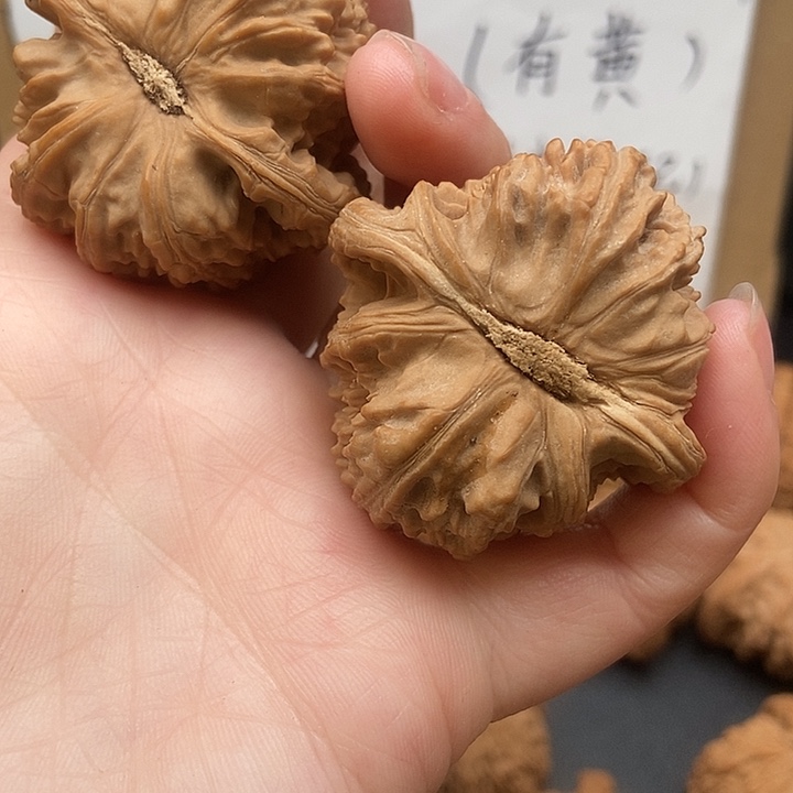 安***祥大大大大大大白狮子黄尖