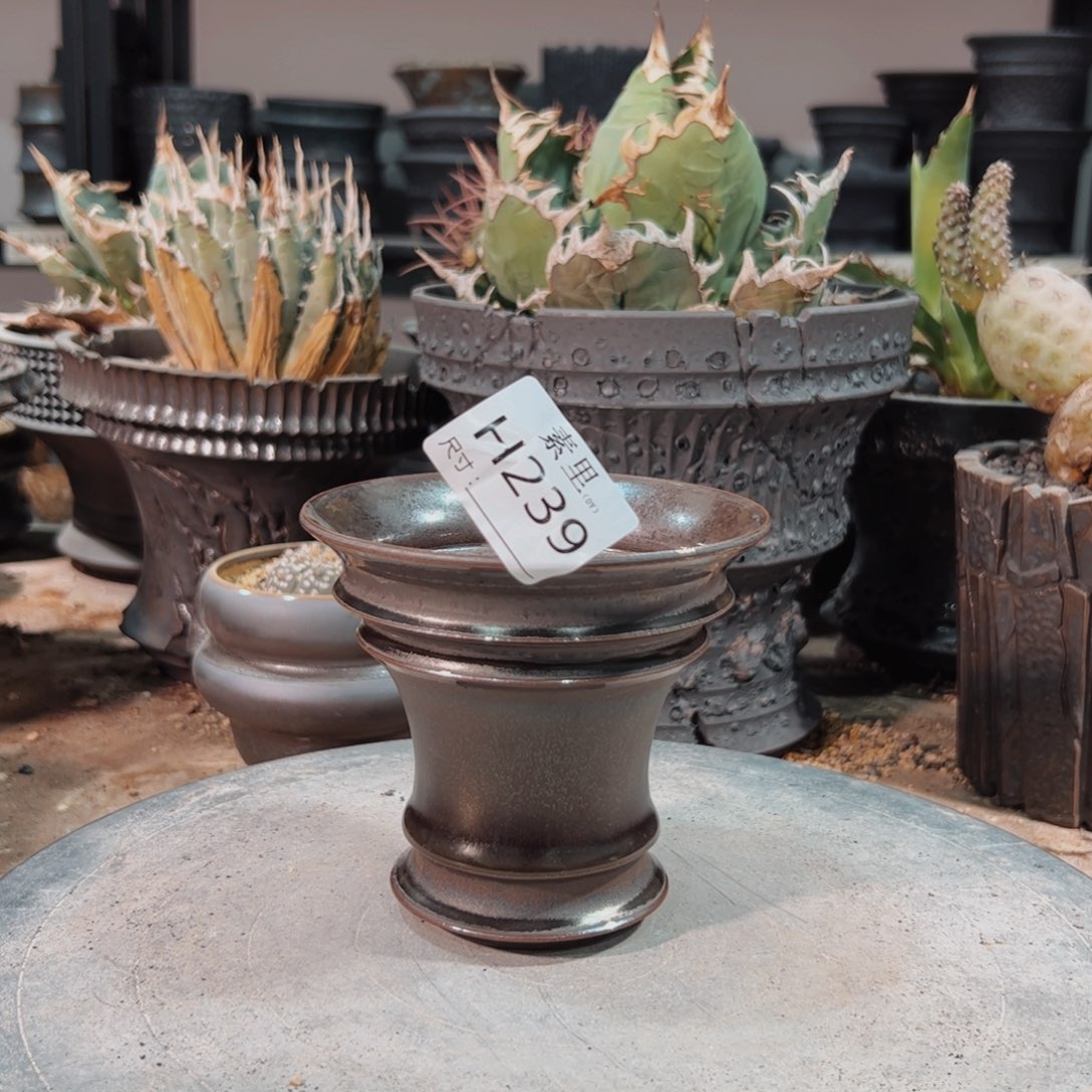 景德镇手工素里内口11高10